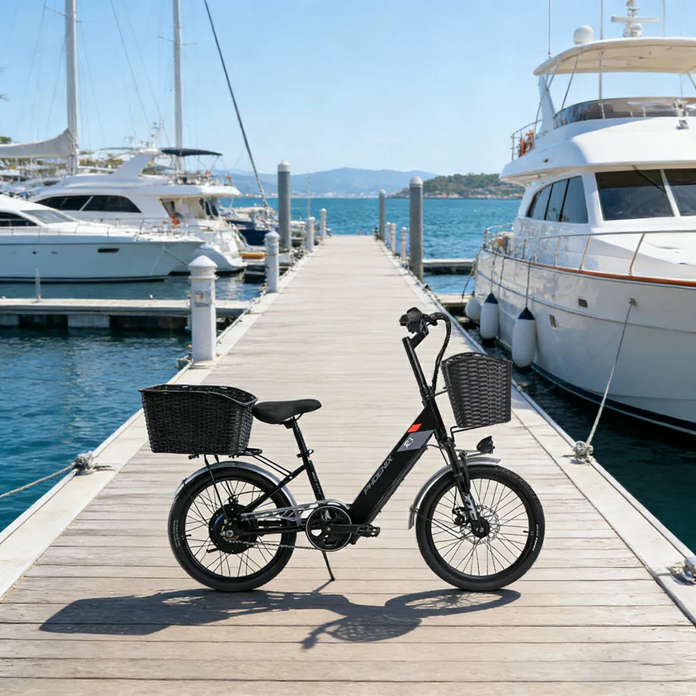 VOLTUS 20-Inch Electric Bike, 36V350W Brushless Motor, Dual Disc Brakes, High Carbon Steel Frame, Hidden Waterproof Battery - Black - Image 4